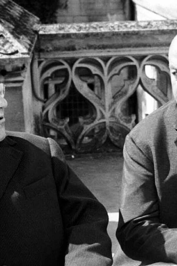 Les Barbouzes (1964) 0