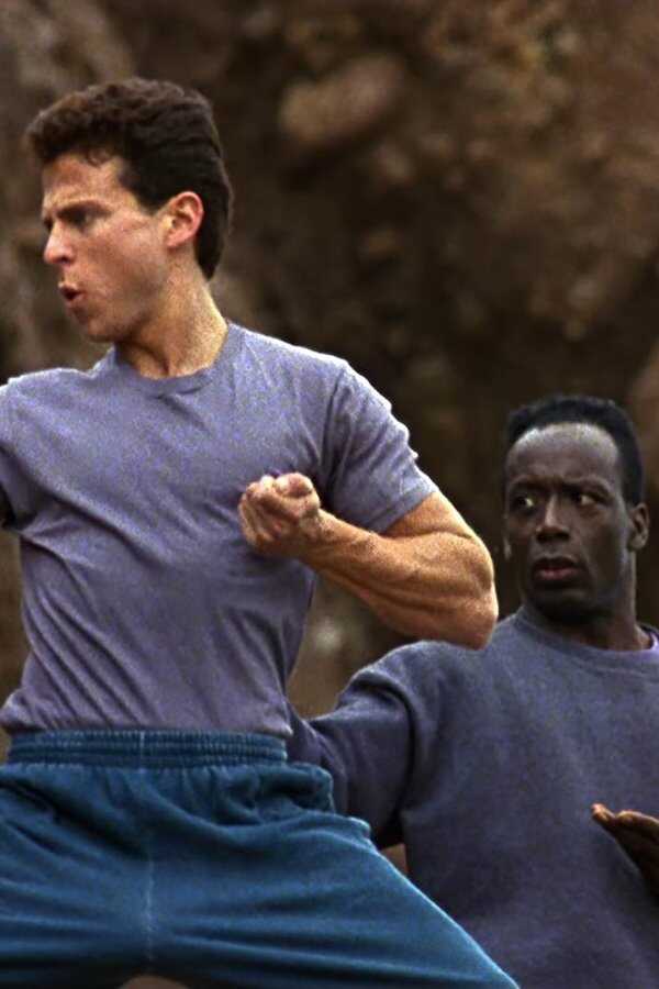 American Karate Tiger (1993) 0