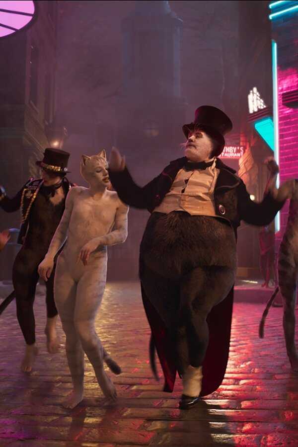 Cats 0