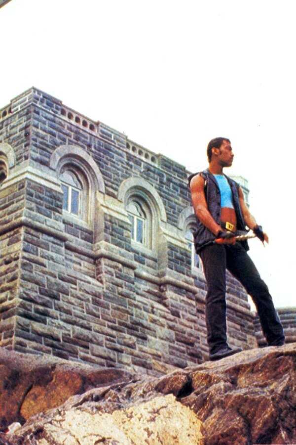 El Exterminador 2 (1984) 0