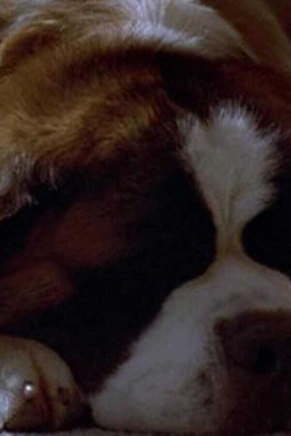 Beethoven 4 (2001) 0