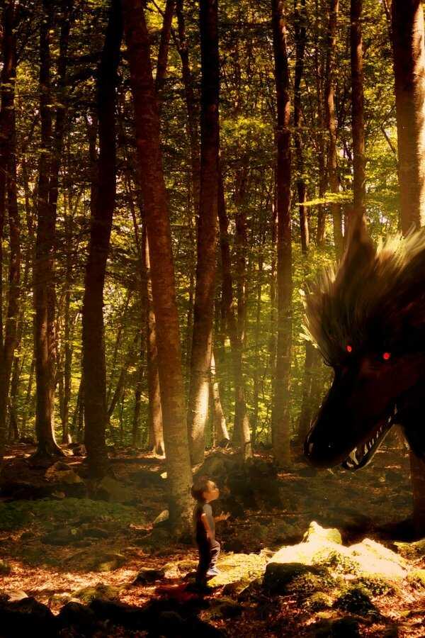 My Family and the Wolf (2019) 0