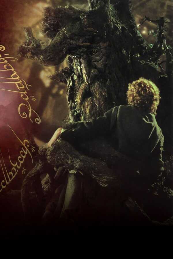 The Lord of the Rings: The Two Towers (2002) 0