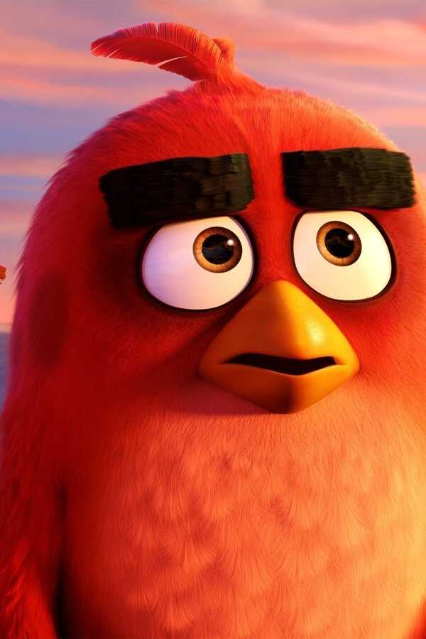 The Angry Birds Movie (2016) 0