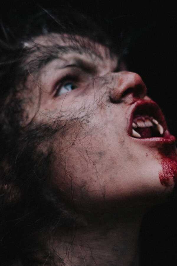 Wolfkin (2023) 0