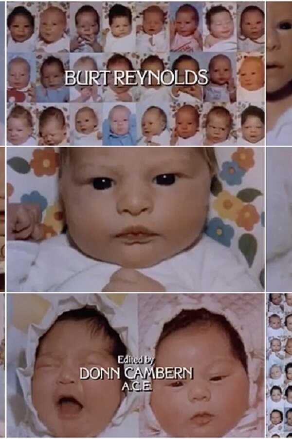 Paternity (1981) 0