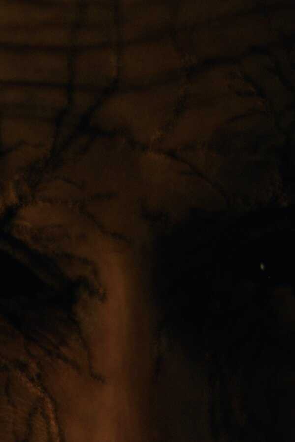 The Offering (2023) 0