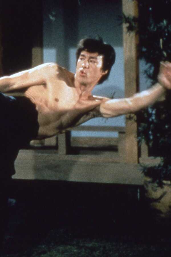 La Fureur de vaincre (1972) 0