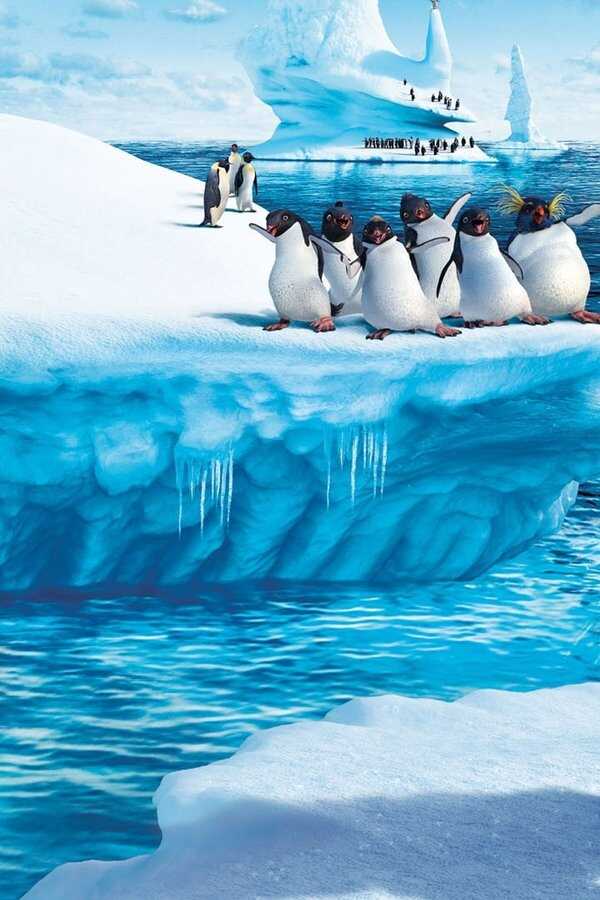 Happy Feet (2006) 0