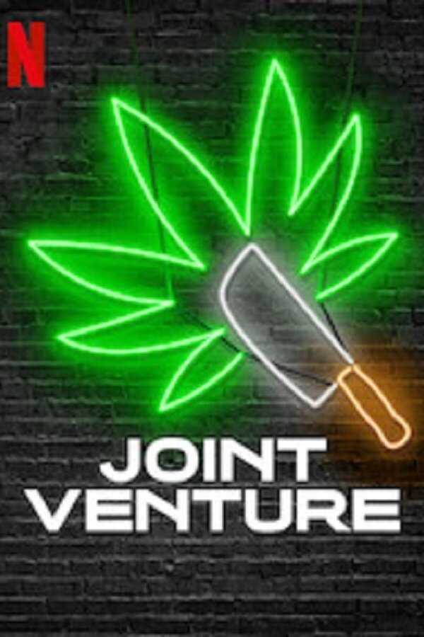 DE - Joint Venture (2019) 5