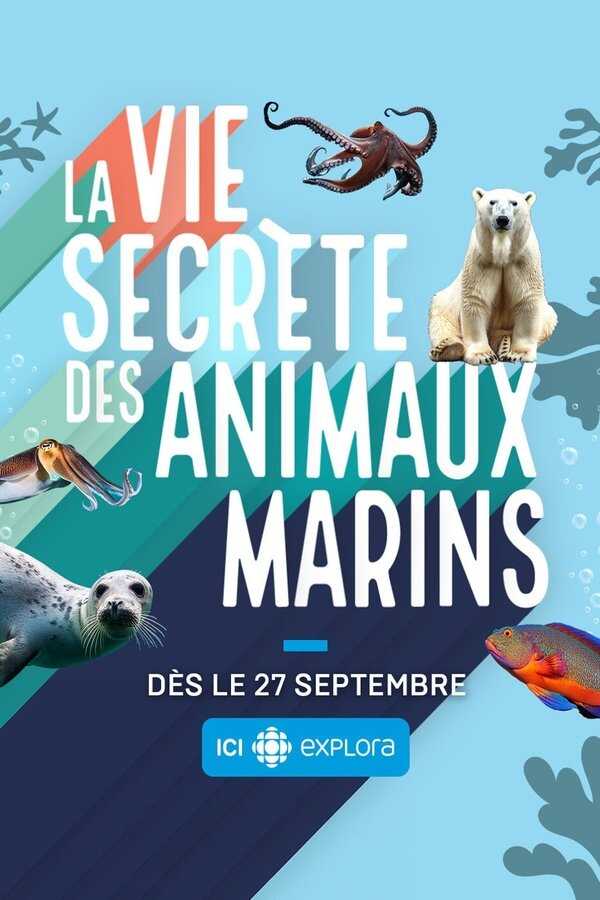 QFR - La vie secrète des animaux marins (2024) (CA) 5