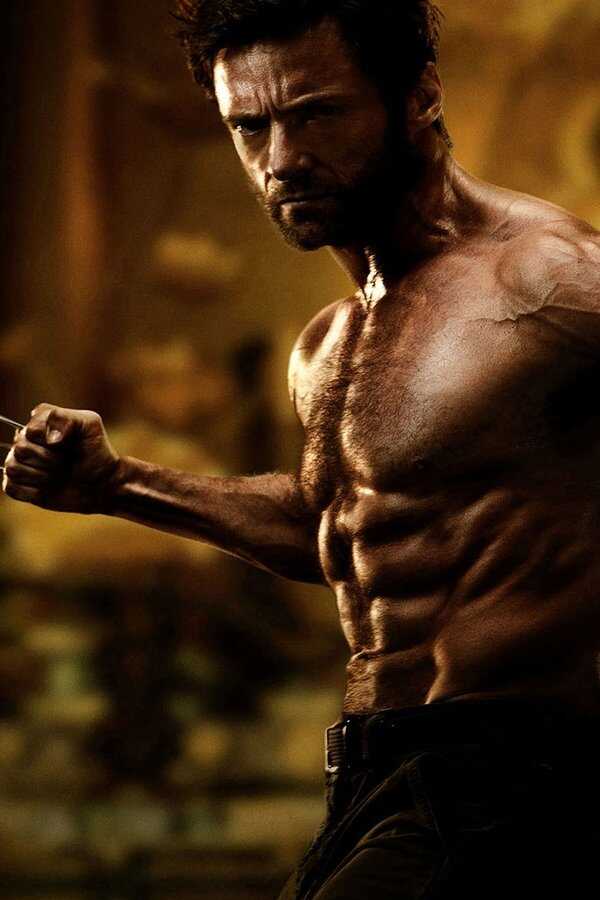 Wolverine : Le Combat de l'immortel (2013) 0