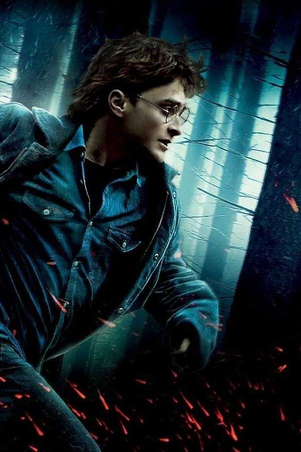 Harry Potter and the Deathly Hallows: Part 1 (2010) 0