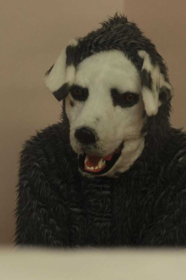 Good Boy (2022) 0
