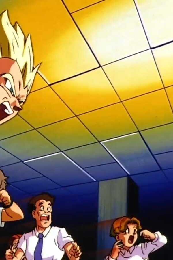 Dragon Ball Z - L’Attaque du dragon (1995) 0