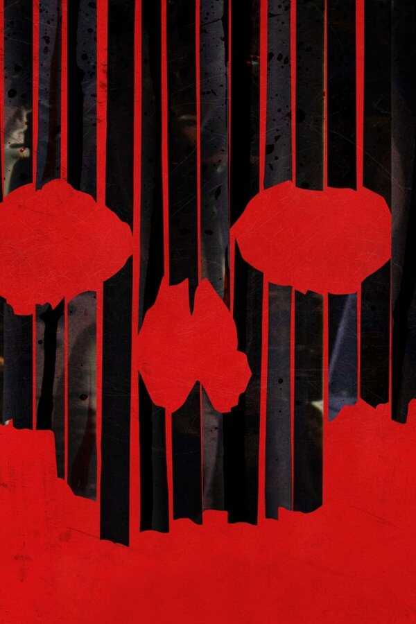 S-VHS aka. V/H/S/2 (2013) 0