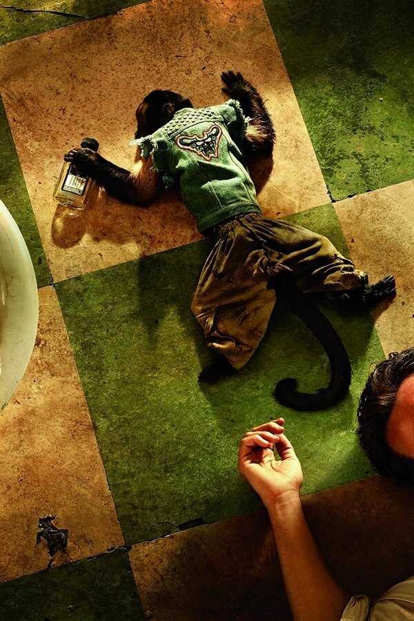 The Hangover Part II (2011) 0