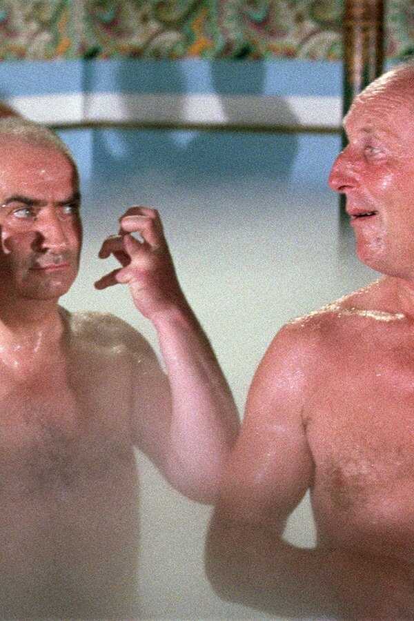 La Grande Vadrouille (1966) 0