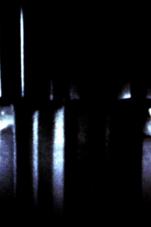 黑俠 (1996) 0