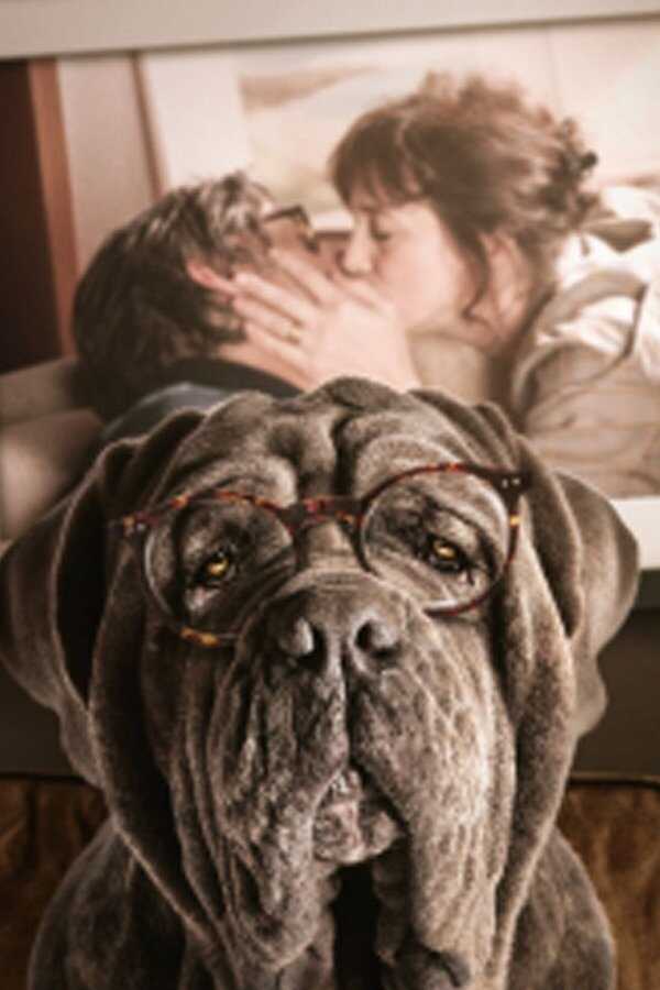 My Dog Stupid (2019) 0