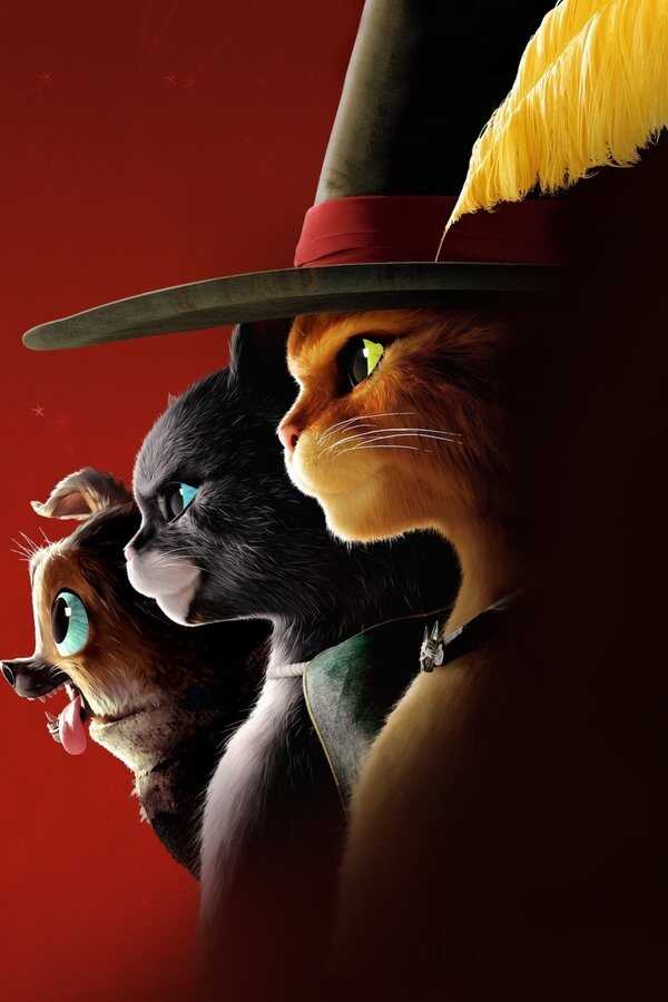 Il gatto con gli stivali 2 - L'ultimo desiderio (2022) 0