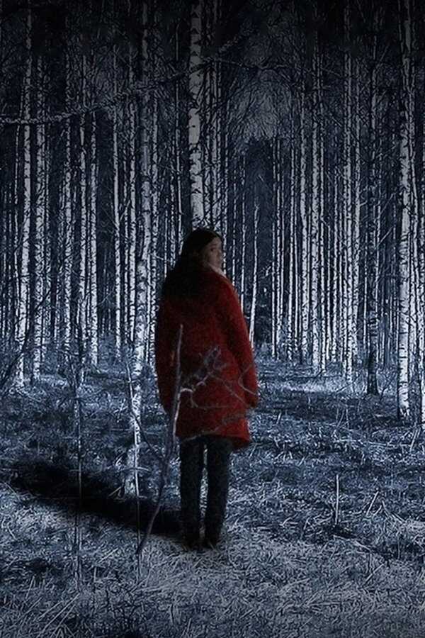 Alerte enlèvement : ma fille a disparu (2018) 0