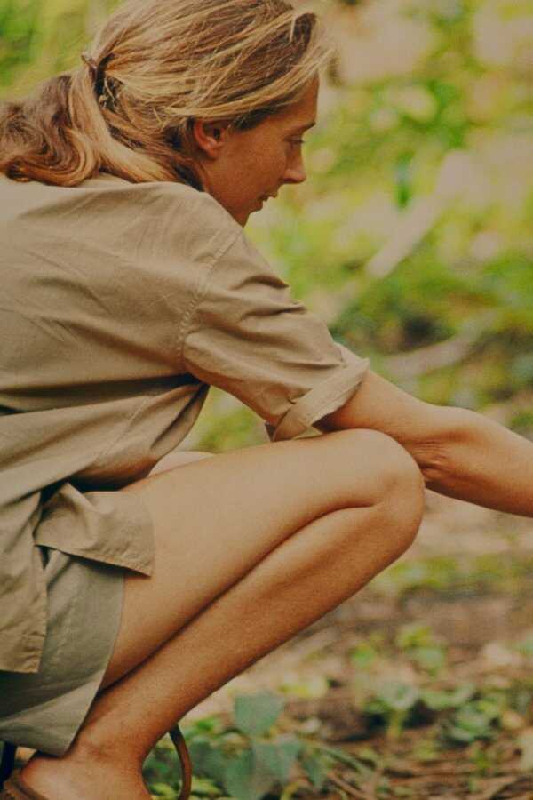 Jane (2017) 0