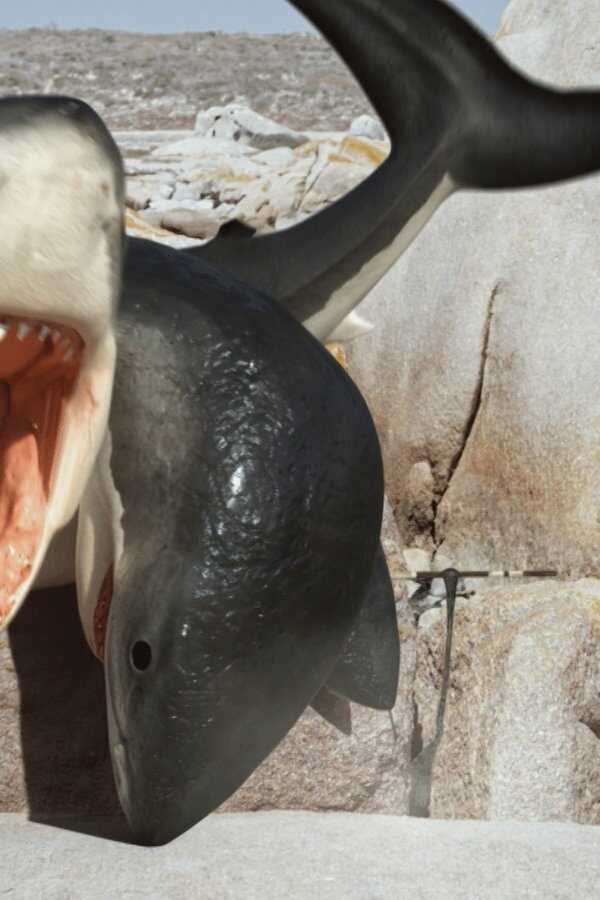 6-Headed Shark Attack (2018) 0