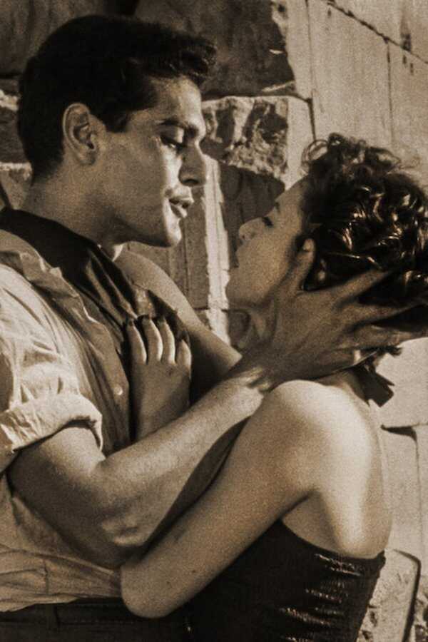 صراع في الوادي (1954) 0