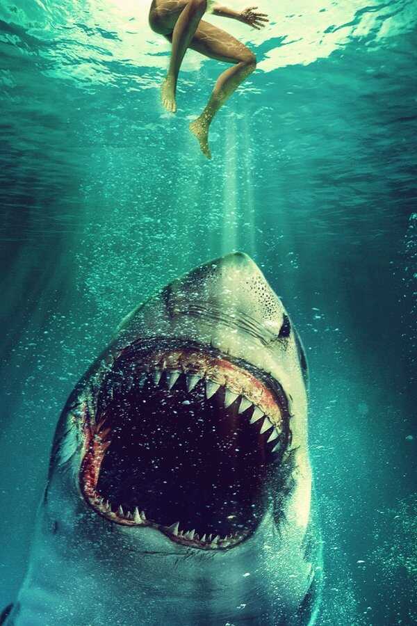From the Depths (2020) 0
