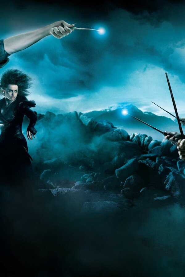 Harry Potter and the Order of the Phoenix (2007) 0