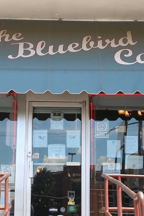 Bluebird (2019) 0