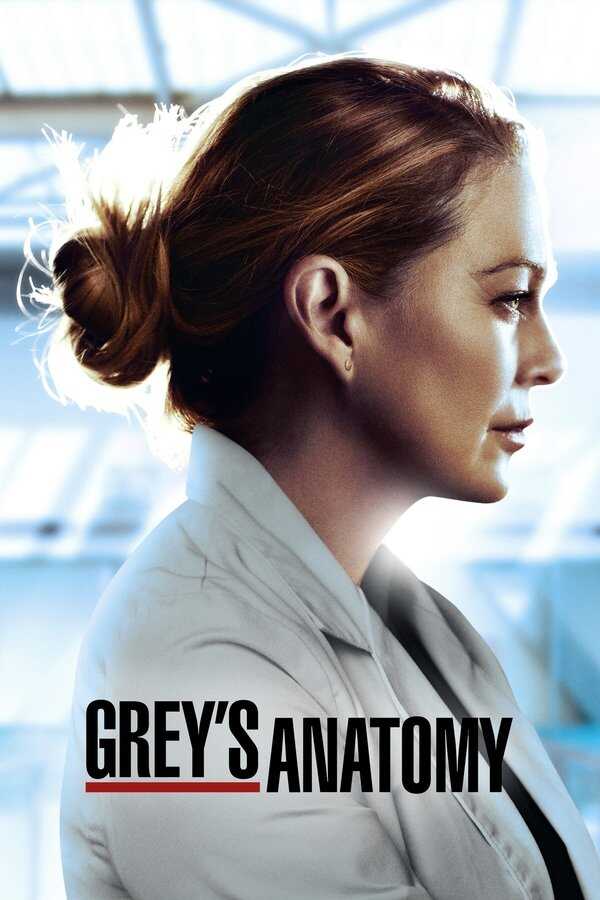 AR - Grey's Anatomy (2005) 4