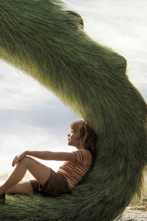 Pete's Dragon (2016) 0