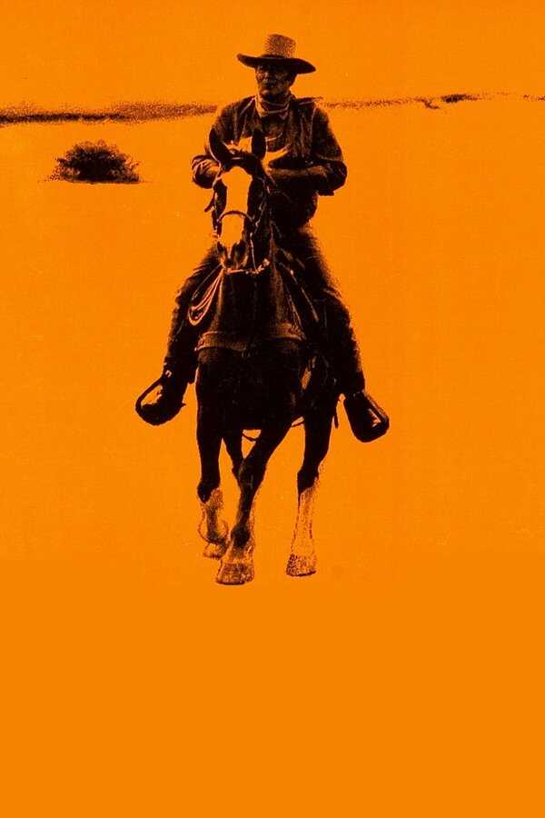 Chisum (1970) 0