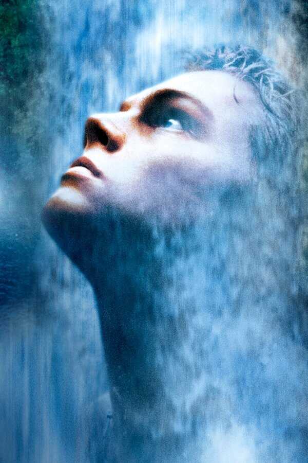 The Beach (2000) 0