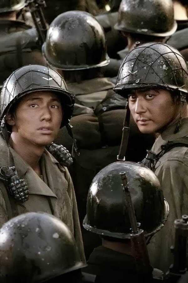 Tae Guk Gi: The Brotherhood of War (2004) 0