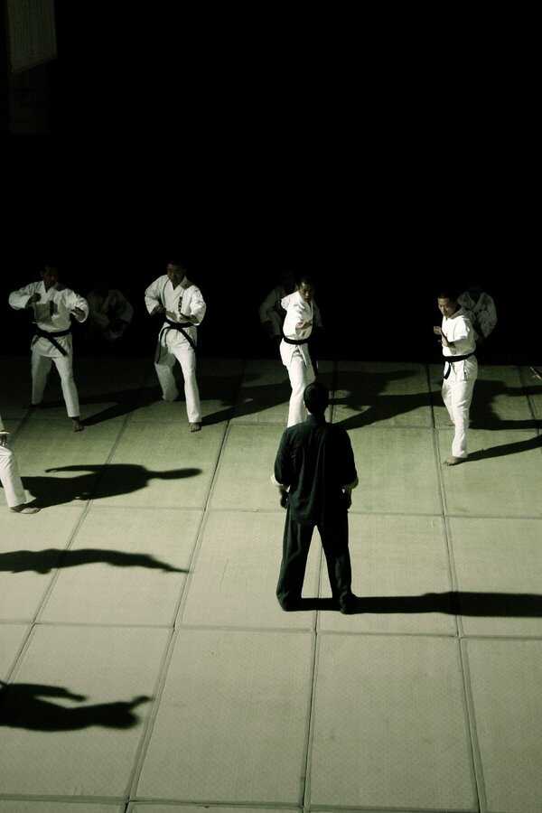 Ip Man (2008) 0