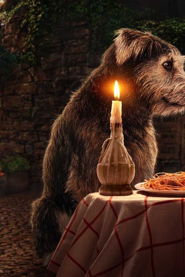 La Belle et le Clochard (2019) 0