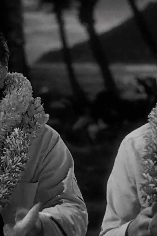 In the Navy (1941) 0