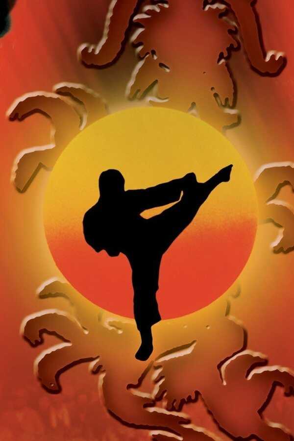 The Karate Kid Part II (1986) 0