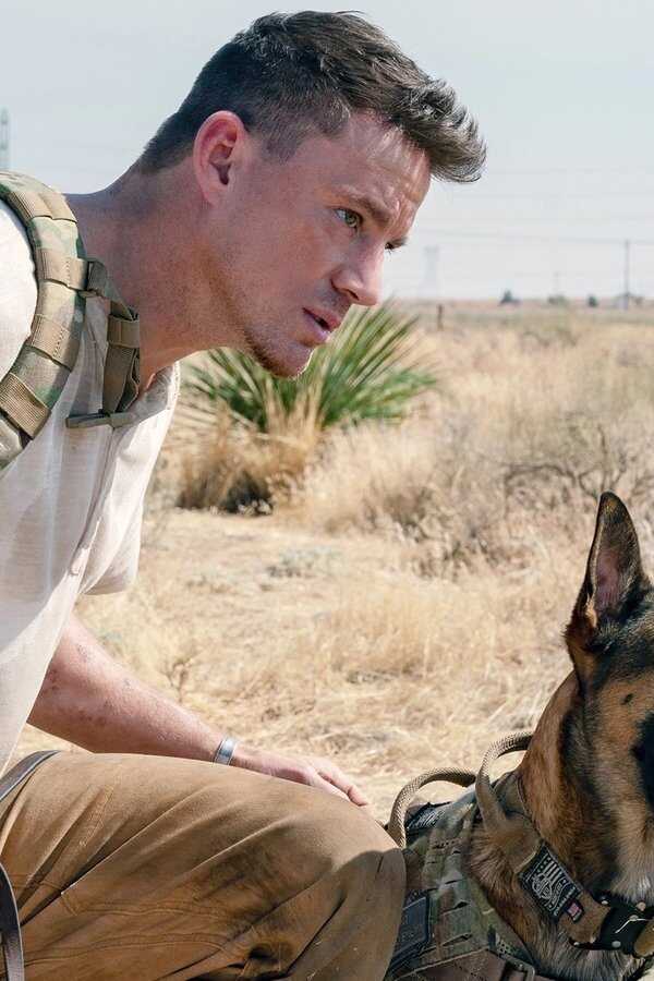 Dog (2022) 0