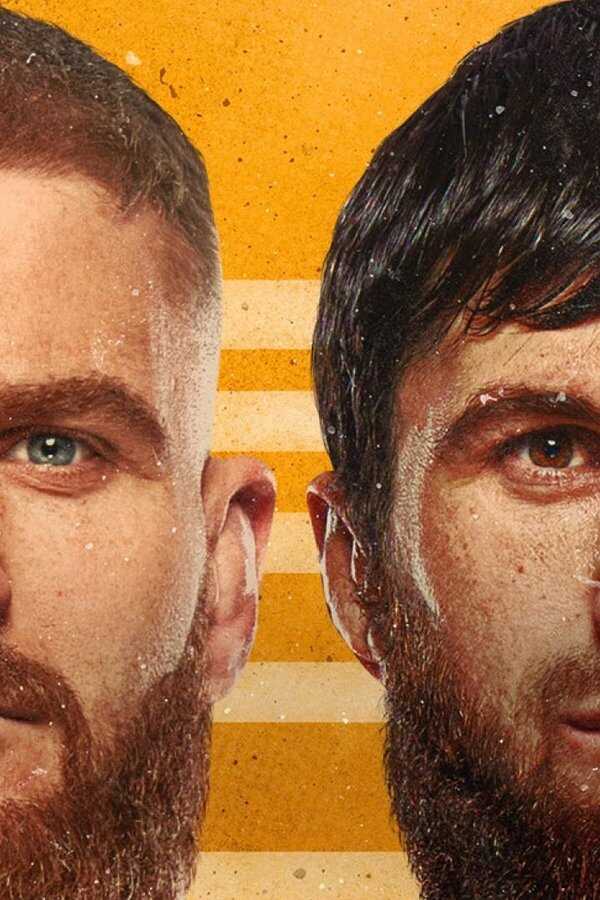 UFC 282: Blachowicz vs. Ankalaev (2022) 0