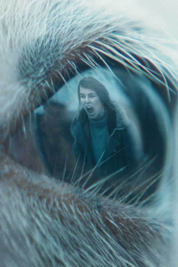 Lamb (2021) 0
