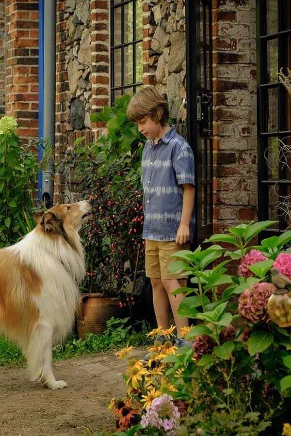 Lassie. Nowe przygody (2023) 0
