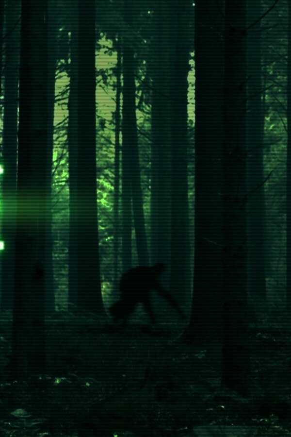 Evidence (2011) 0