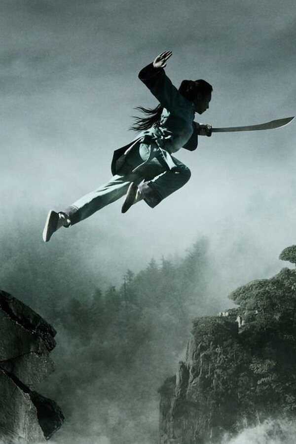 Crouching Tiger, Hidden Dragon: Sword of Destiny (2016) 0