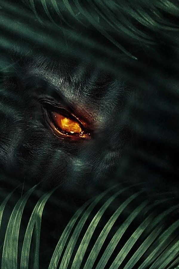 The Jungle (2013) 0