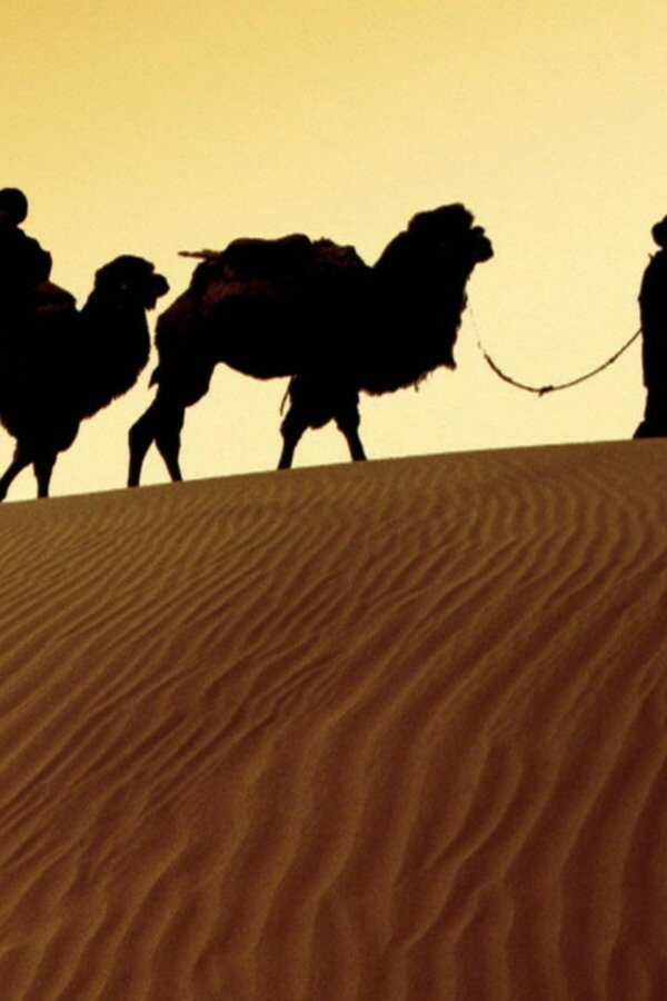 In the Footsteps of Marco Polo (2008) 0