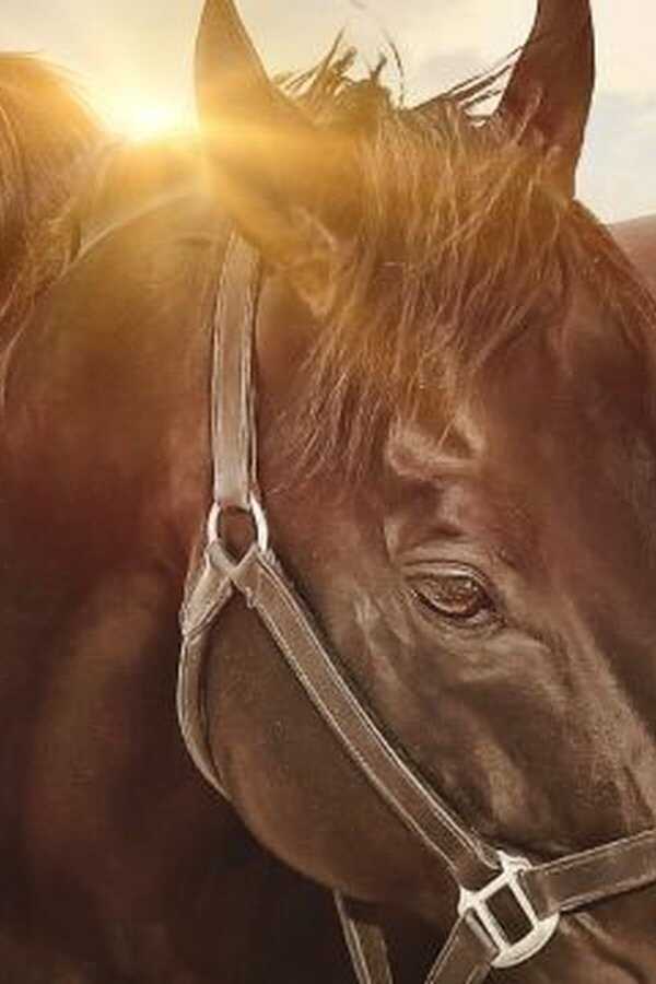 One Love (2018) 0